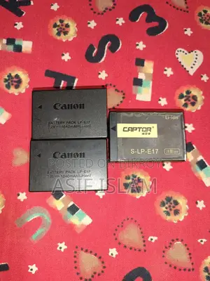 Canon + Gimbal for Sale