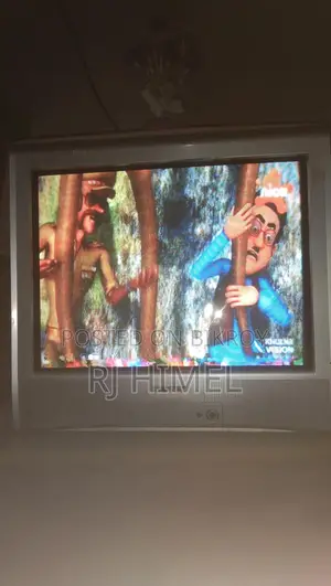 টিভি বিক্রয়ের জন্য