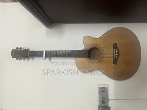 মন্ত্র সেমি অ্যাকোস্টিক গিটার মুক্তি ইকিউ