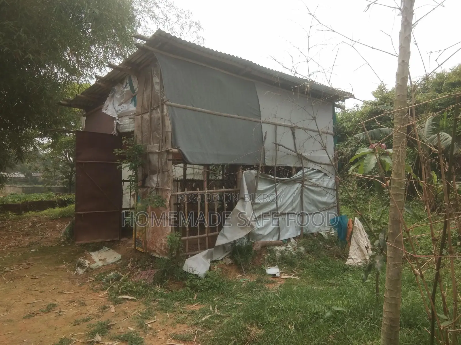 Tin Shed House for Sale