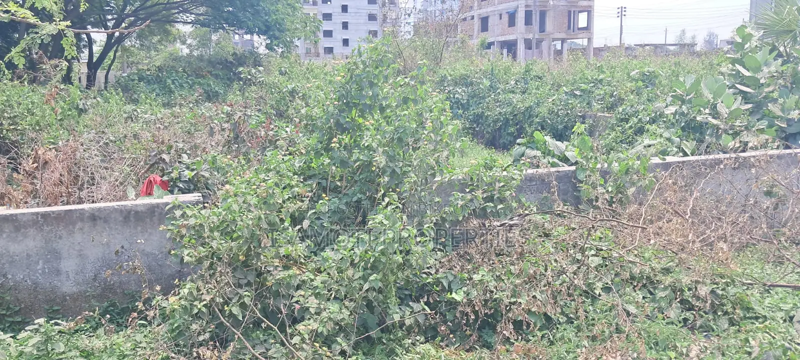 3 Katha Plot for Sale in Sector 13, Rajuk Purbachal