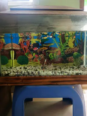 Aquarium