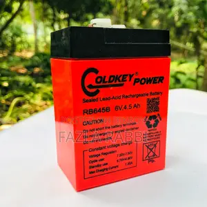12 Volt Sealed Lead-acid Battery