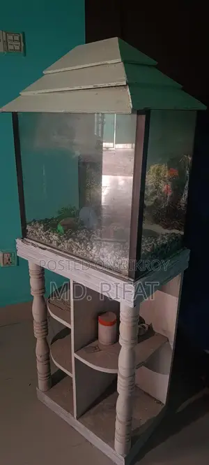 ফিশ একুরিয়াম