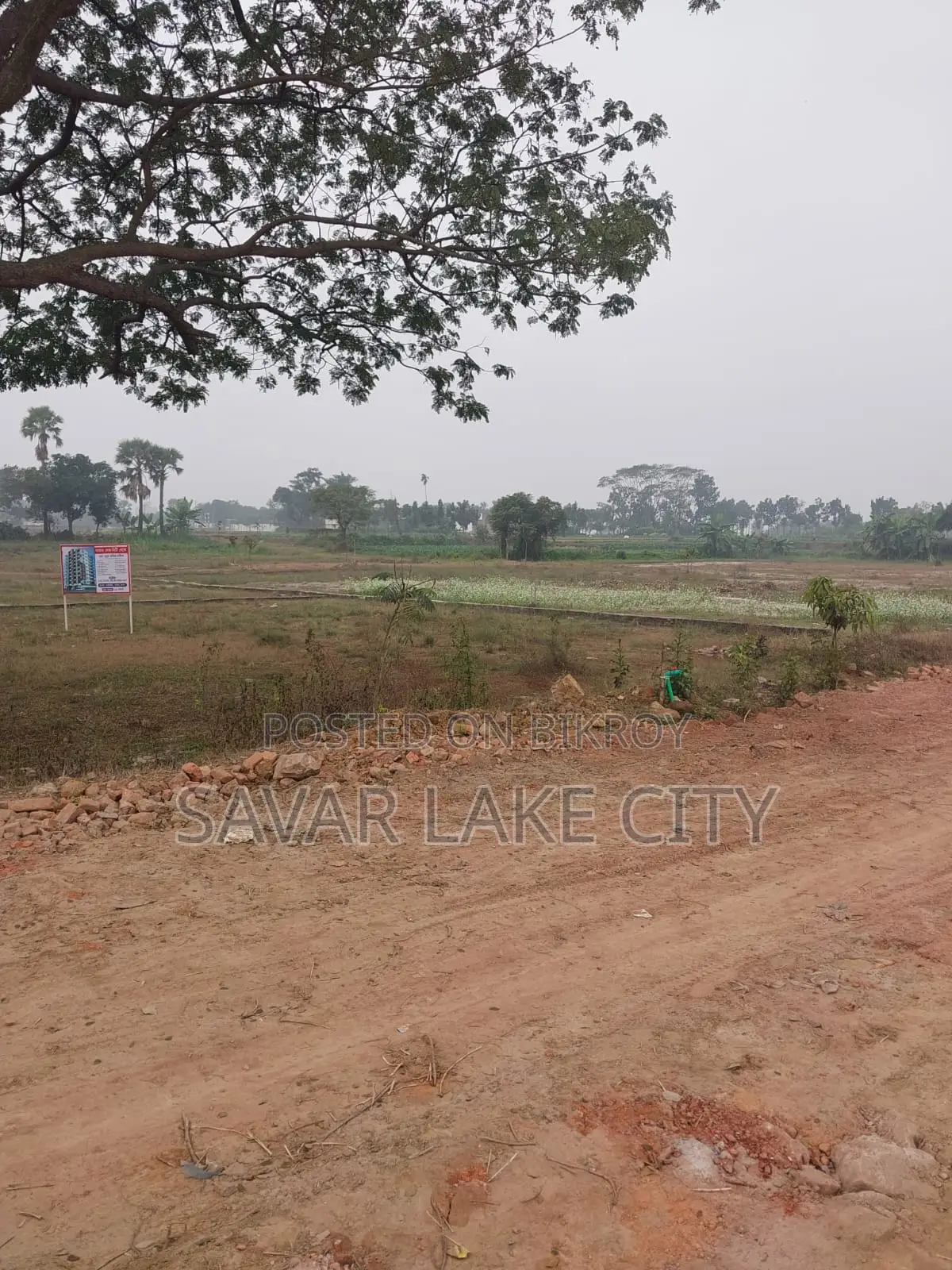 Plot for Sale in Mirpur 14, Dhaka