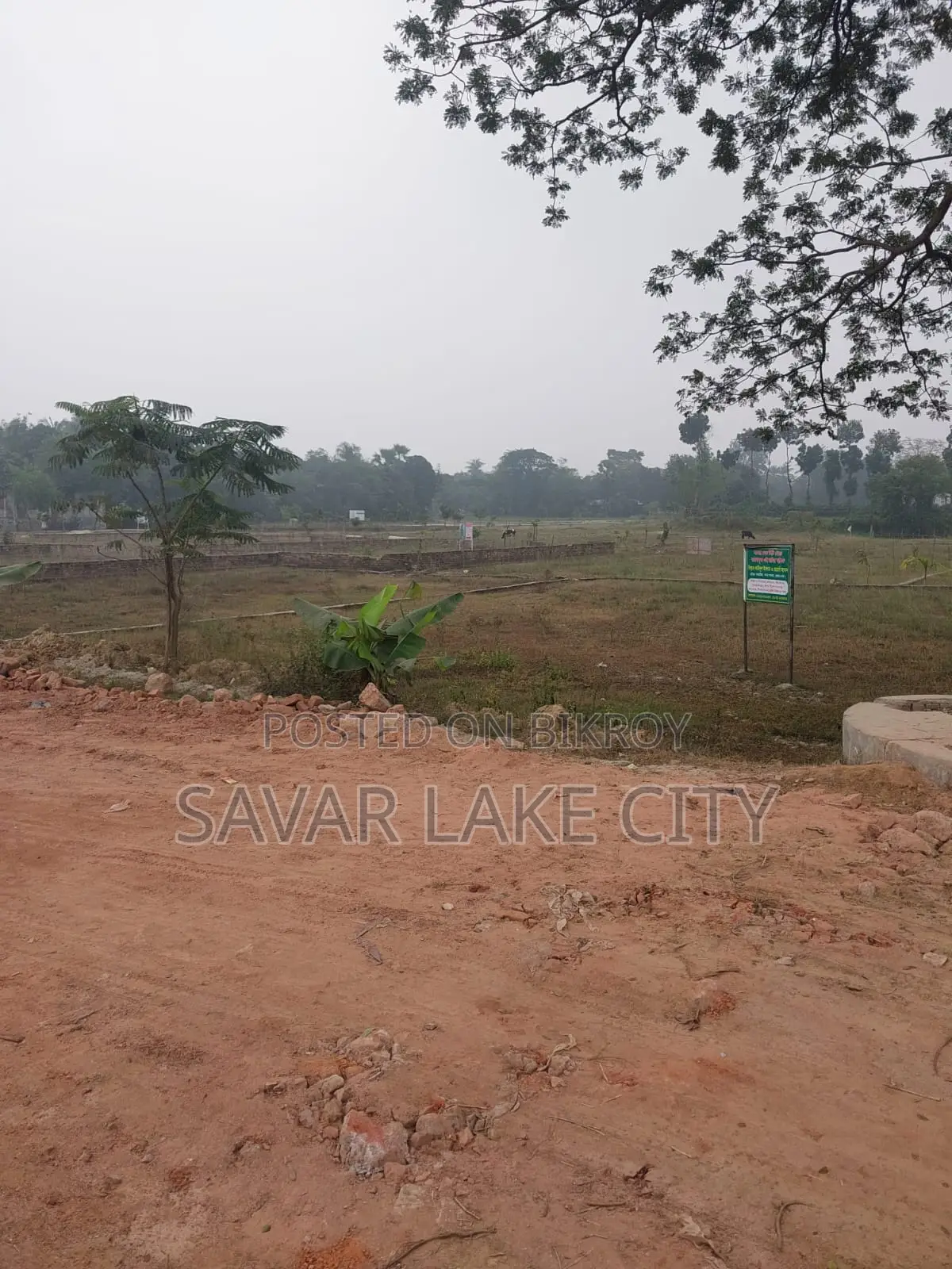 Plot for Sale in Mirpur 14, Dhaka
