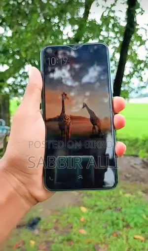 Vivo Y11 (Used)