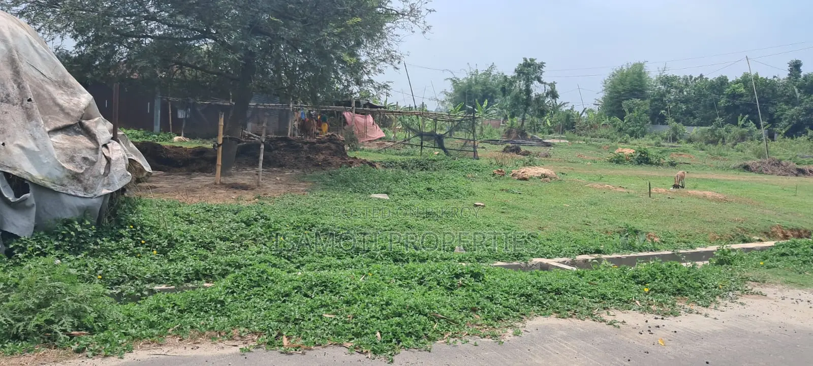 Affordable 3 Katha Plot Sale Purbachal