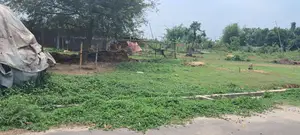 Affordable 3 Katha Plot Sale Purbachal