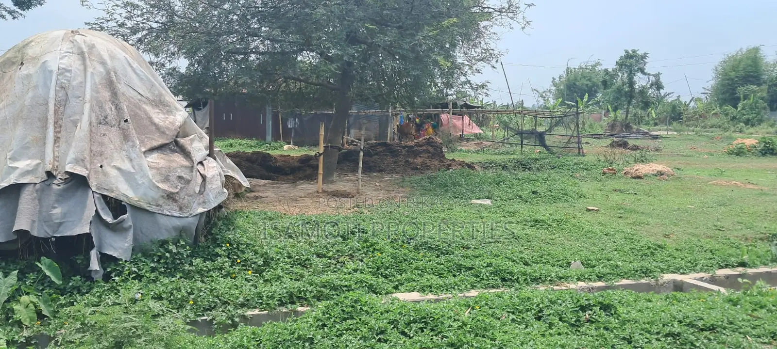Affordable 3 Katha Plot Sale Purbachal