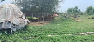 Affordable 3 Katha Plot Sale Purbachal