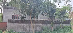 3 Katha Plot for Sale on 75ft Road, Sector 14