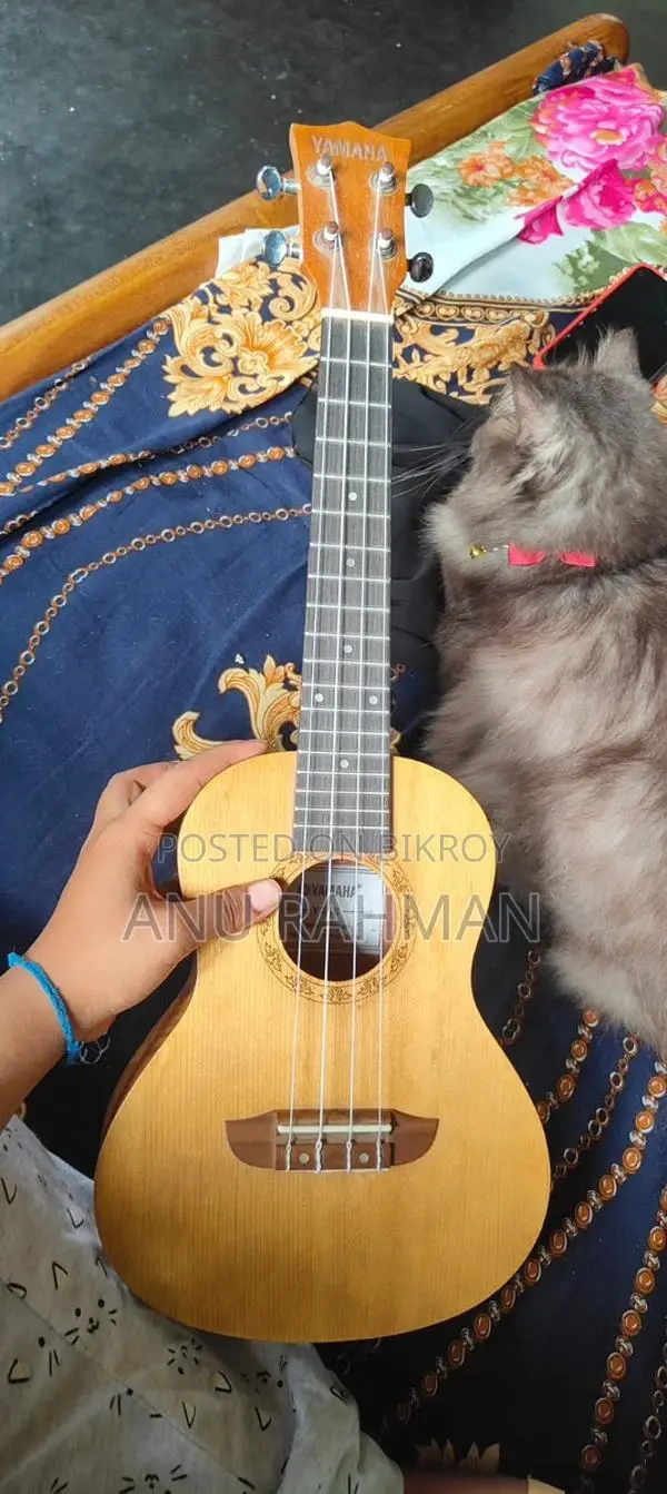 Ukelele for Sale