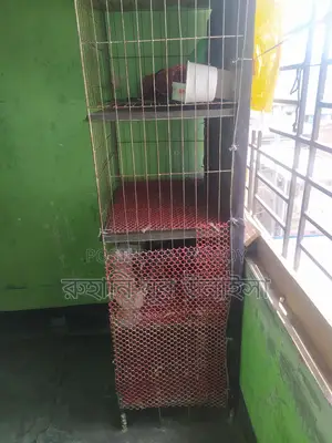 মুরগির খাচা