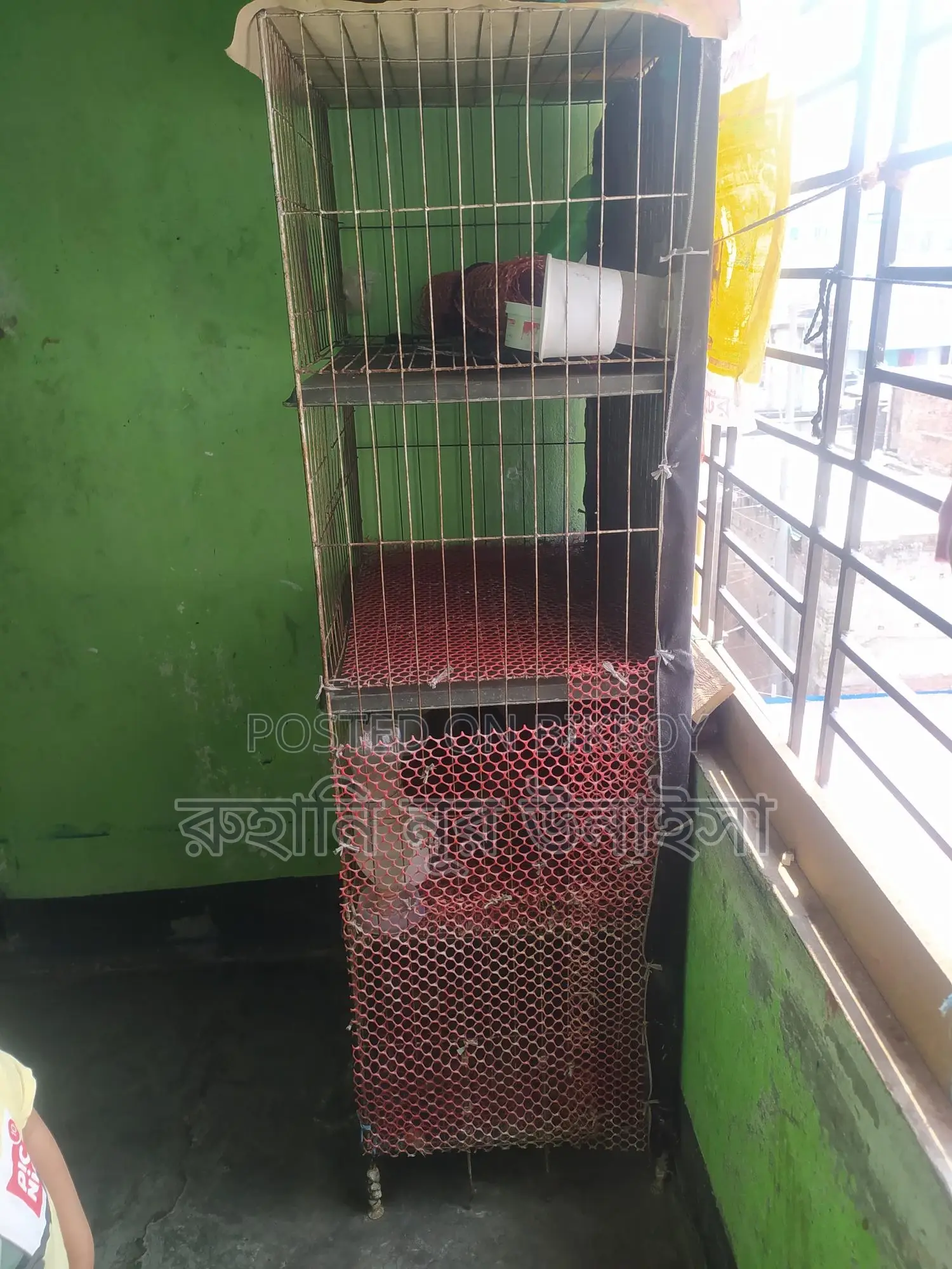 মুরগির খাচা