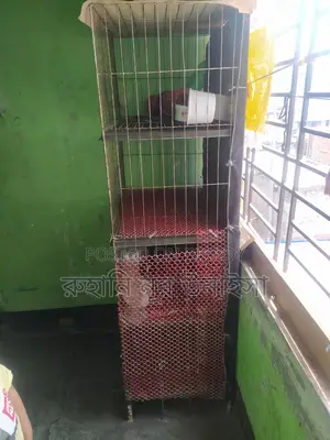 মুরগির খাচা