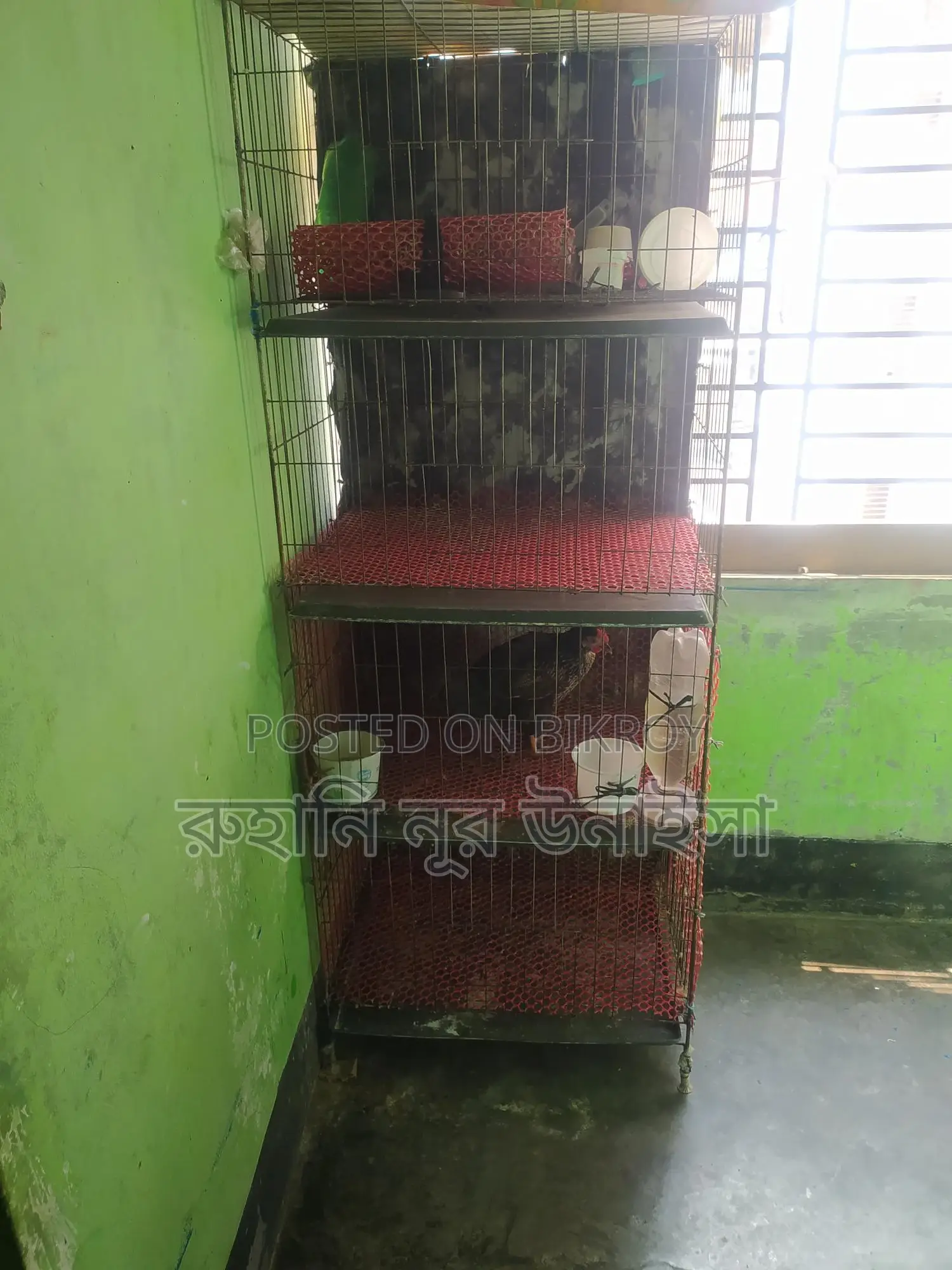মুরগির খাচা