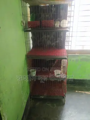 মুরগির খাচা