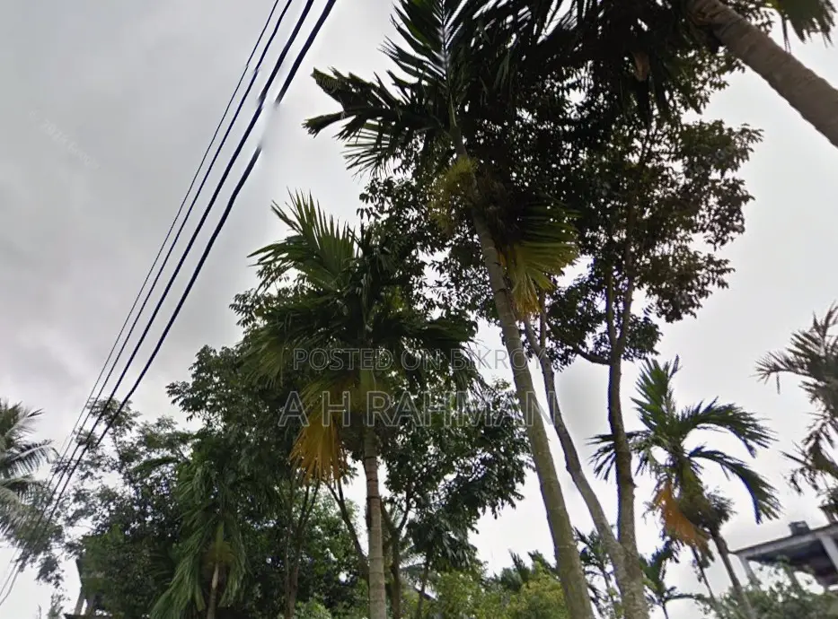 2.5 Decimal Roadside Land for Sale, Gurati Para