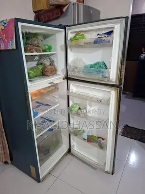 Samsung Fridge