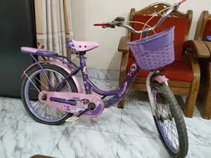 লেডিস ফিনিক্স সাইকেল