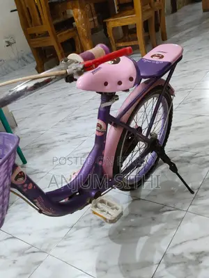 লেডিস ফিনিক্স সাইকেল