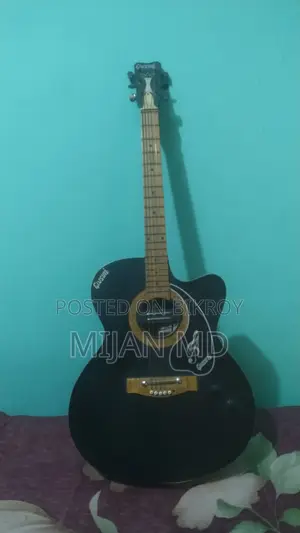 Guitar for Sale