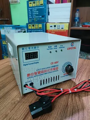 অটো ৬০ ভোল্ট মিশুক ৪৮ গাড়ীর চার্জার