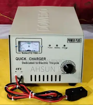 অটো ৬০ ভোল্ট মিশুক ৪৮ গাড়ীর চার্জার