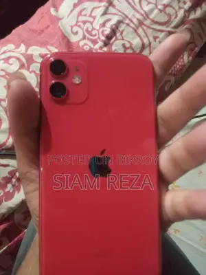 Apple iPhone 11 (Used)