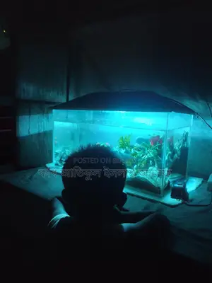 একুরিয়াম বিক্রি
