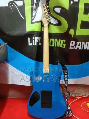 Ibeniz Guitar