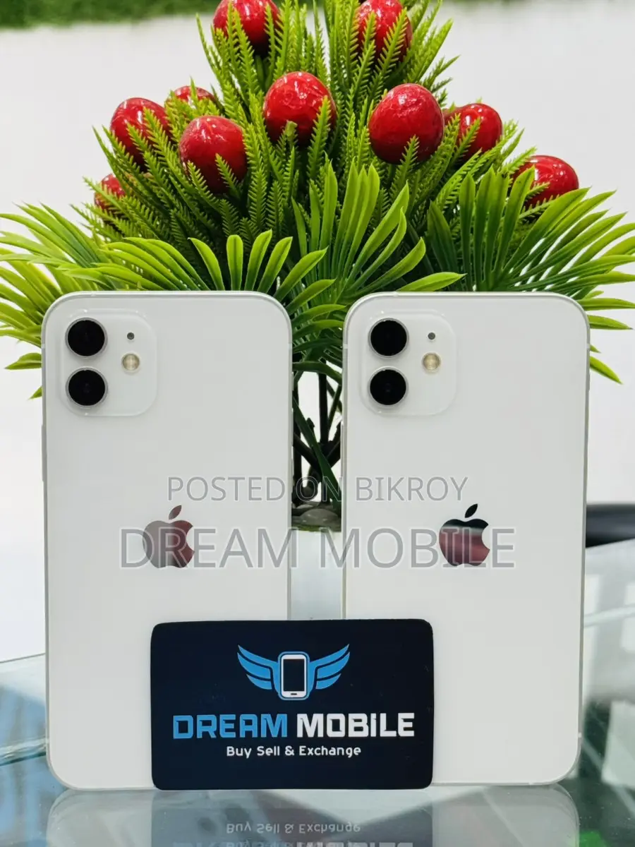 Apple iPhone 12 (Used)