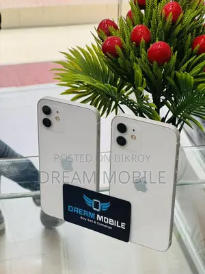 Apple iPhone 12 (Used)