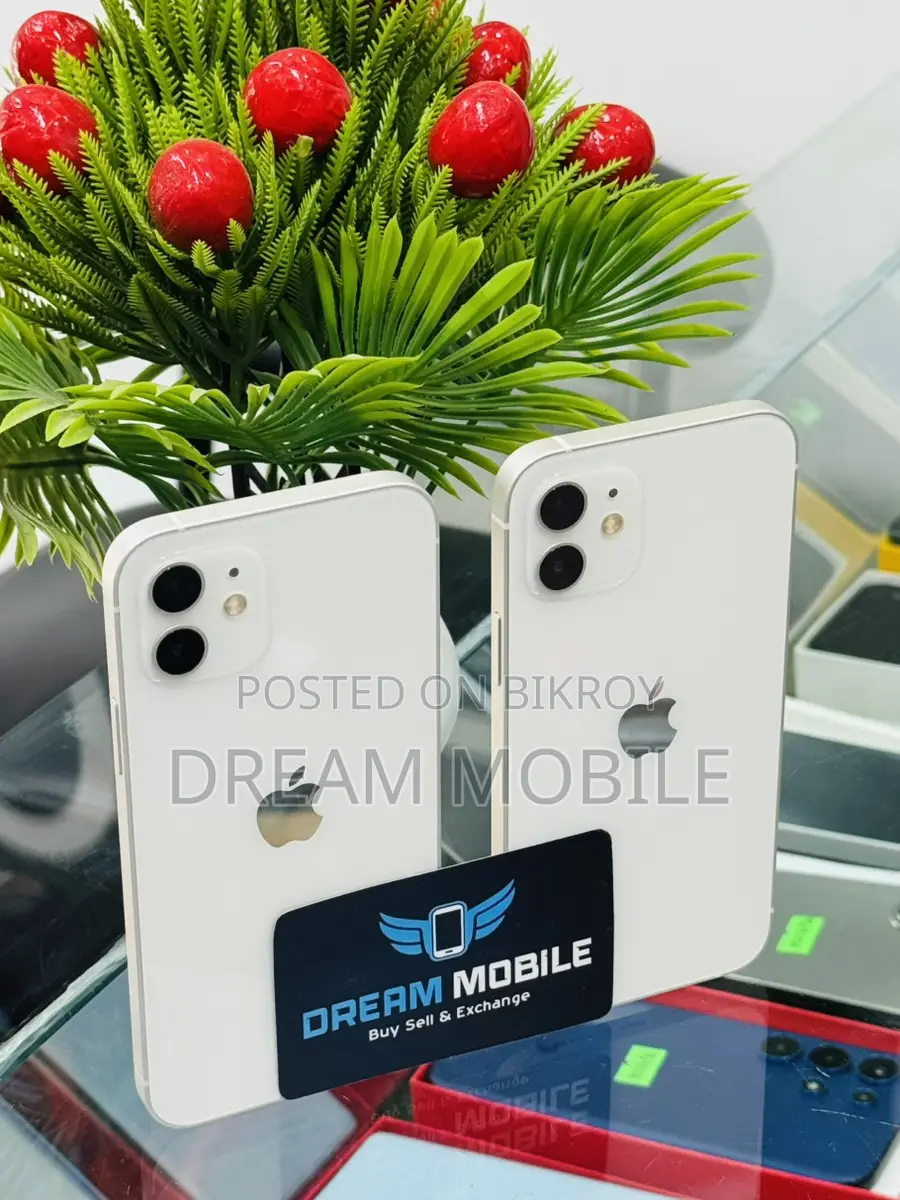 Apple iPhone 12 (Used)