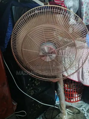 Noha 18" Fan