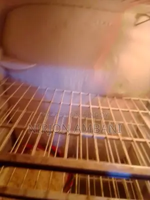 Singer Refrigerator