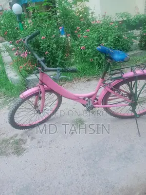 Bicycle Sale