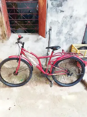 Running Cycle