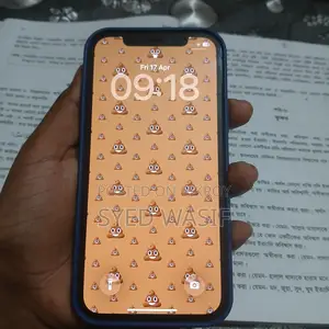 Apple iPhone 12 (Used)