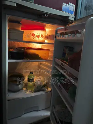 The Walton W2d-2d4 Refrigerator