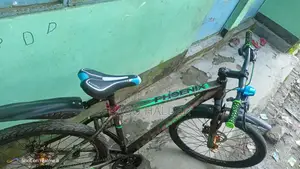 Phoenix Cycle sale
