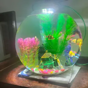 Fish Bowl
