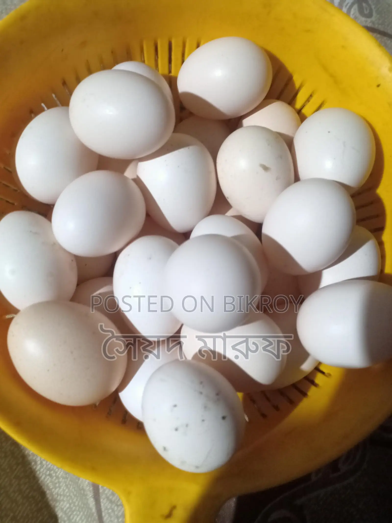পিওর মুরগির ডিম