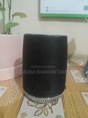 Speaker with a Free Ring