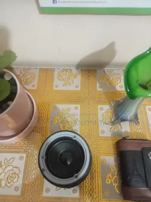 Speaker with a Free Ring