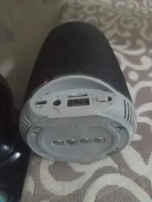 Speaker with a Free Ring