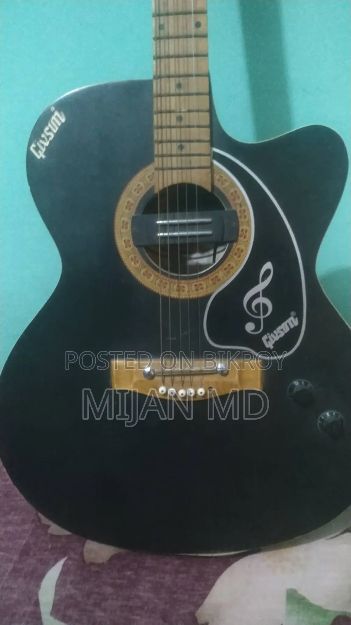 Guitar