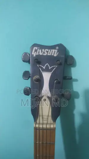Guitar