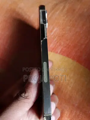 Apple iPhone 12 Pro Max (Used)